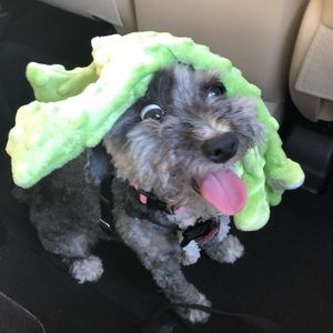 Meet your Posher, Grant